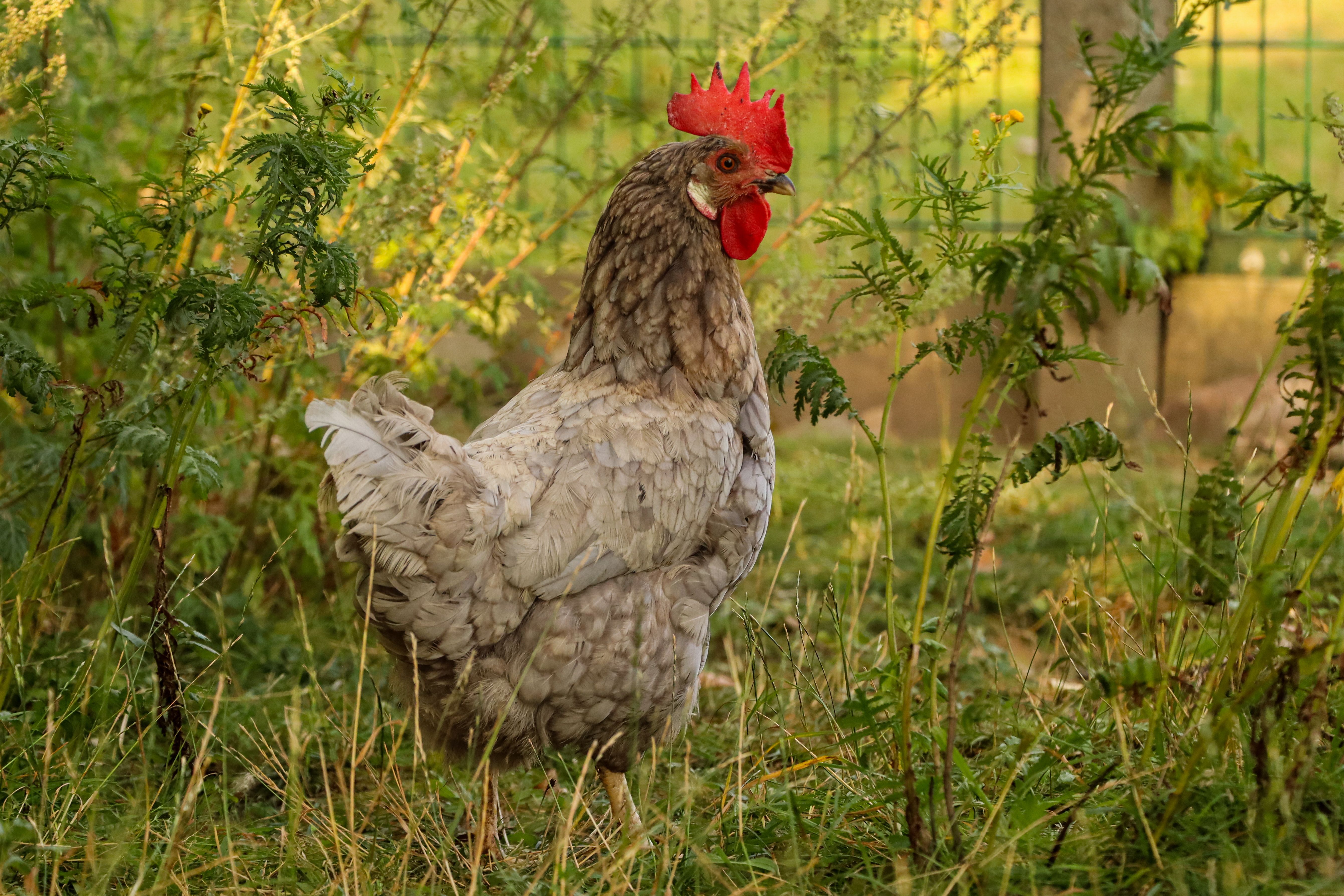 Rückblick vom August 2025