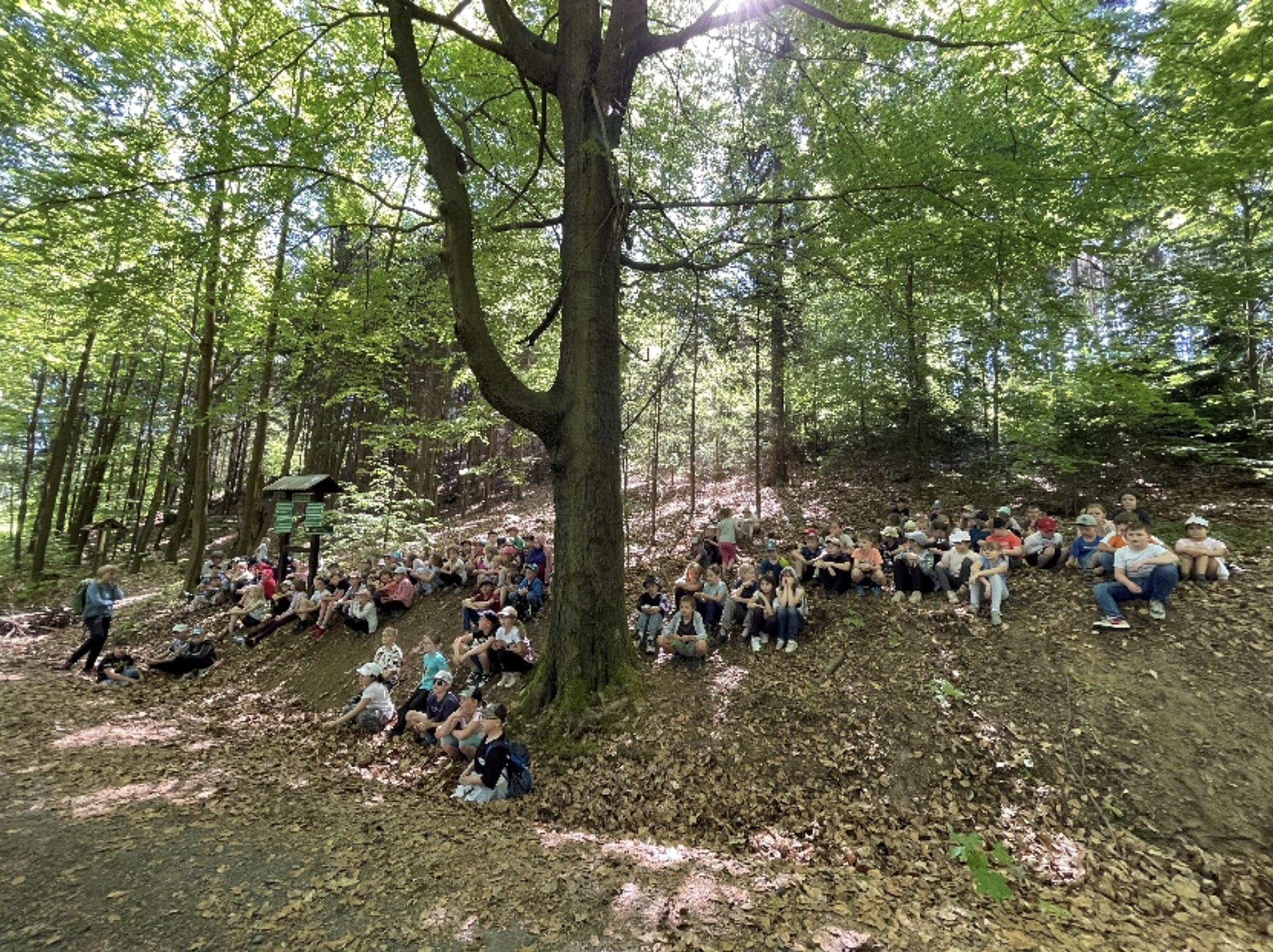 Projektwoche ZusammenWIRken 13.05.-17.05.2024